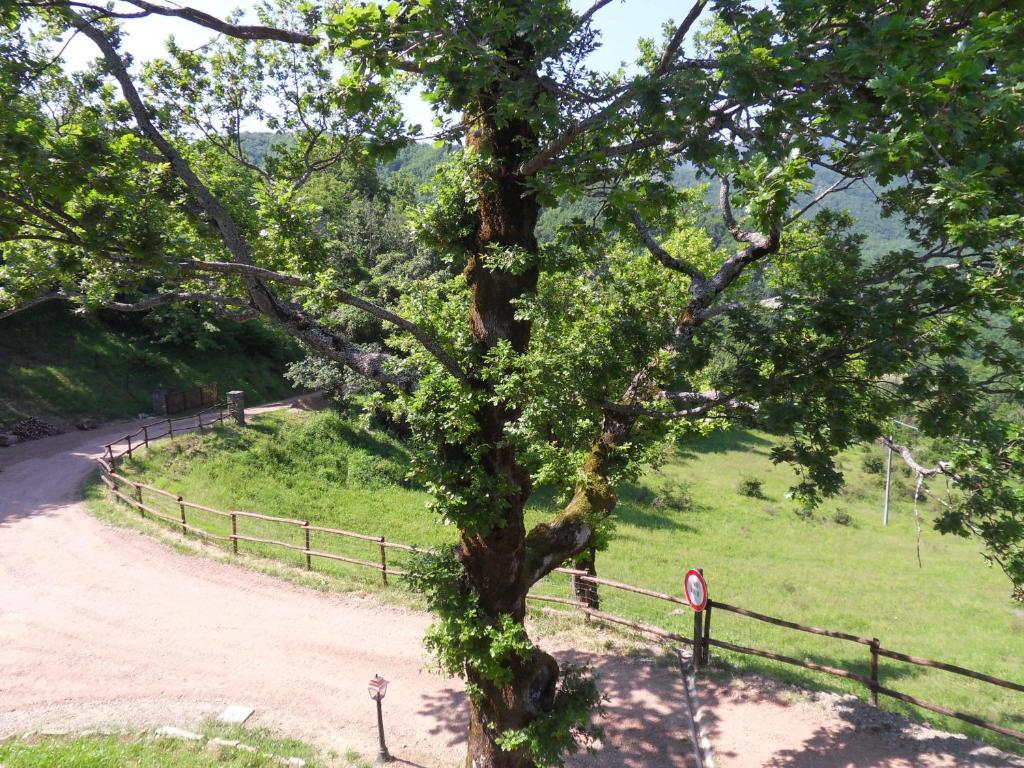Гостевой дом Ca' Scheta Палаццуоло-суль-Сенио Экстерьер фото